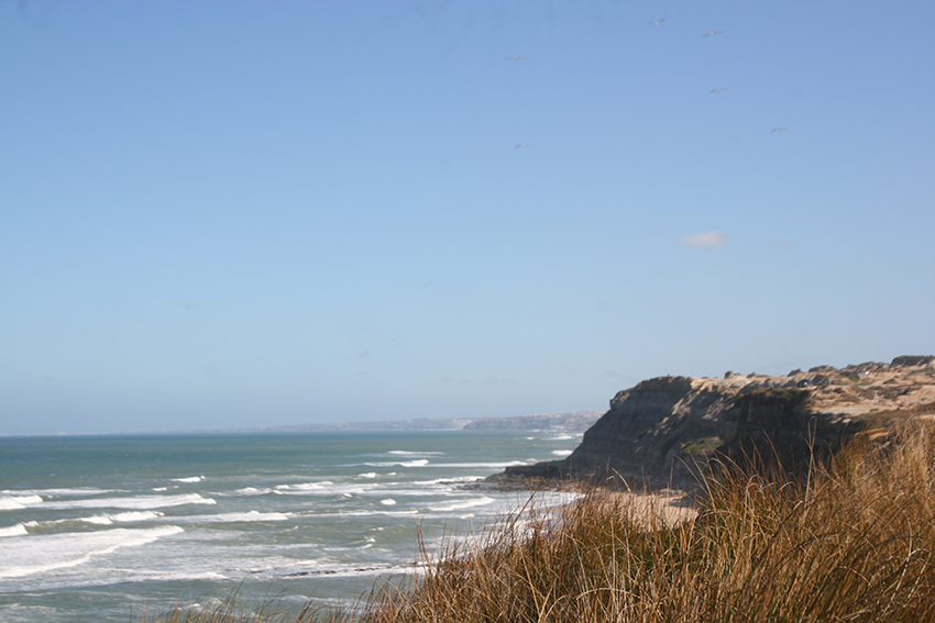 santa cruz cliffs